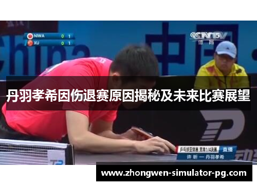 丹羽孝希因伤退赛原因揭秘及未来比赛展望 丹羽孝希因伤退赛原因揭秘及未来比赛展望