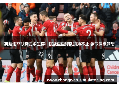 英超谢菲联奋力求生存：挑战重重球队拼搏不止 争取保级梦想